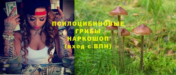 СК Волосово